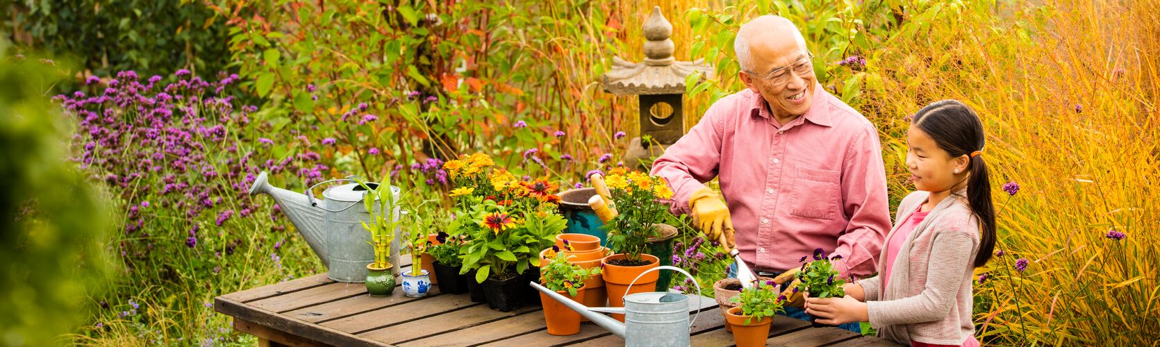 Grandfather teaches his grandchild about gardening while potting flowers on an outdoor table.