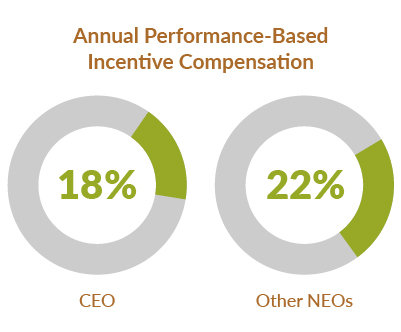 Proxy 2020: Annual Performance-Based Incentive Compensation