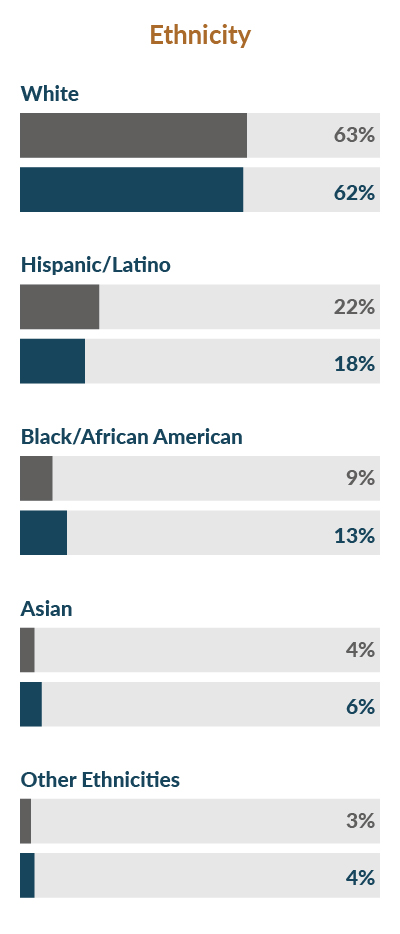 SCI workforce diversity ethnicity chart